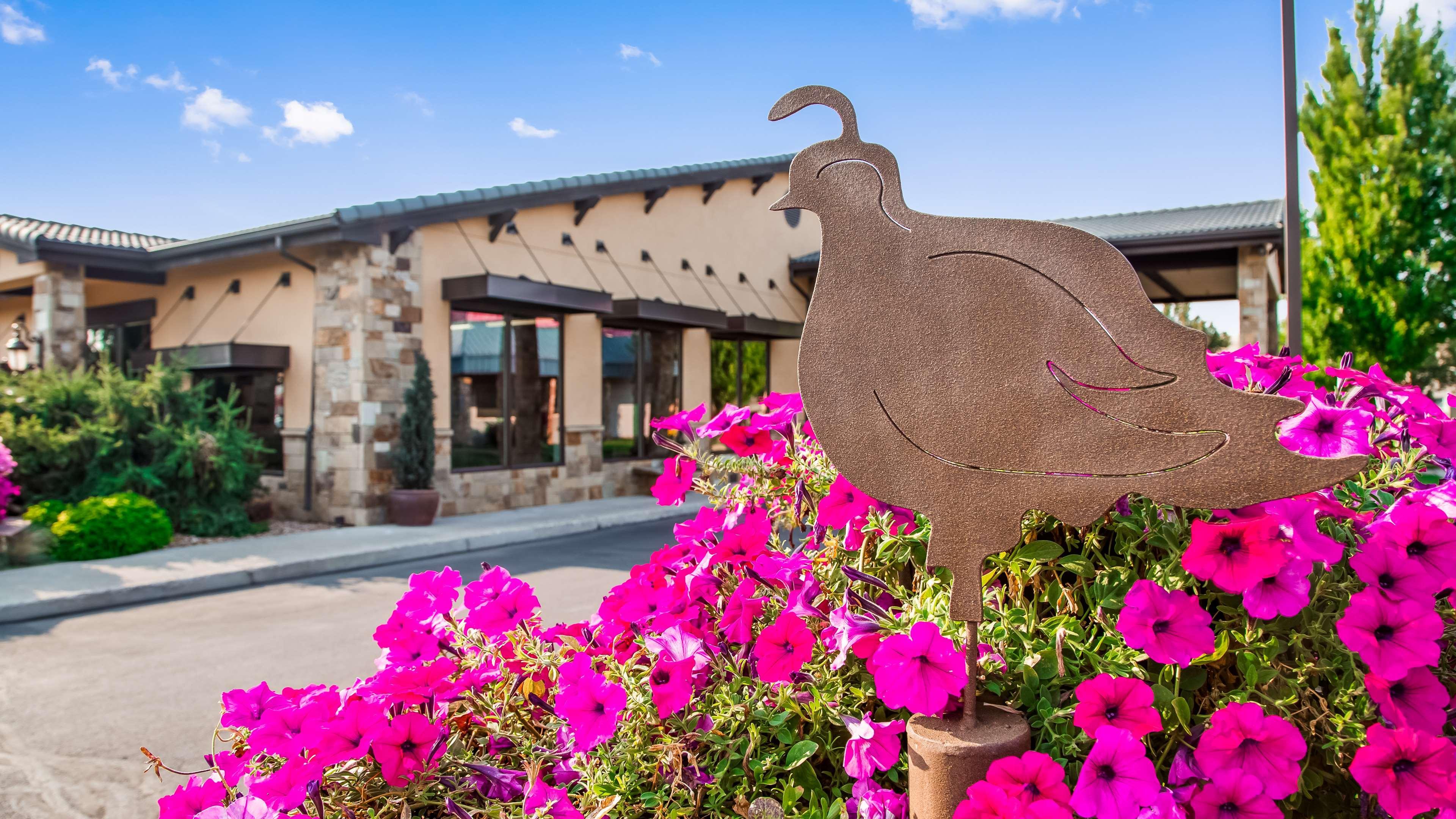 Best Western Prineville Inn Buitenkant foto